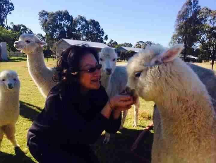 Starline Alpacas Farmstay Resort Broke Exterior foto