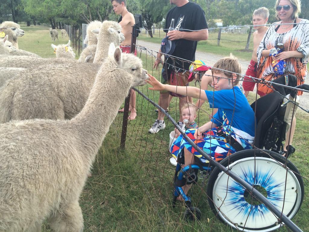 Starline Alpacas Farmstay Resort Broke Exterior foto